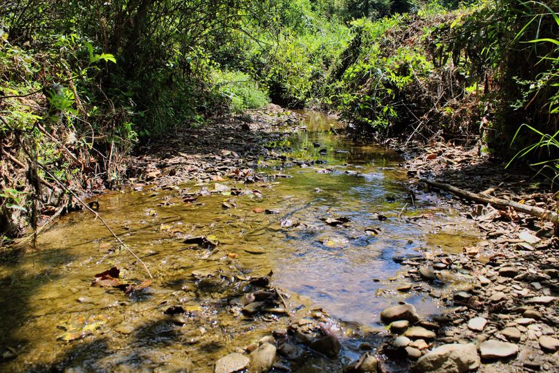 011 another nice shot of Lynn Branch