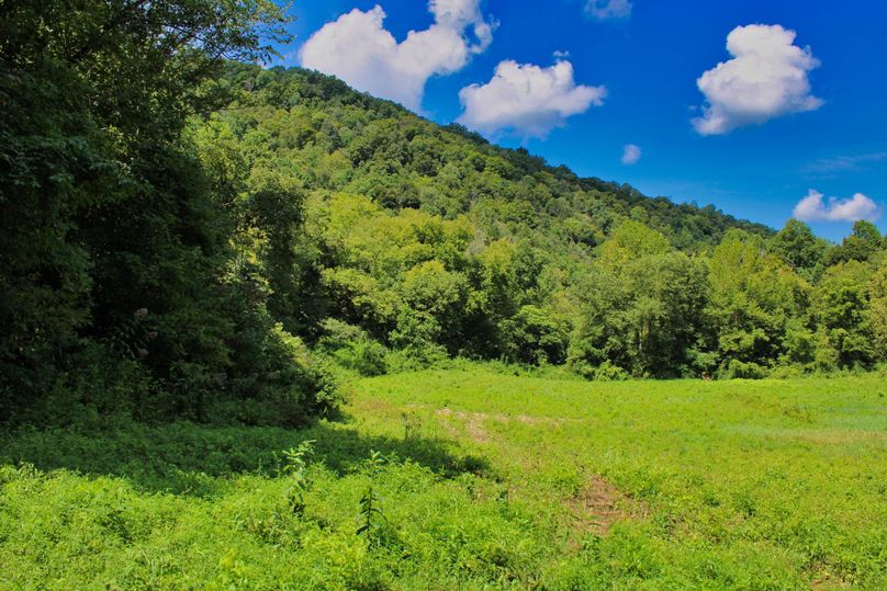 020 nice view looking West over the field