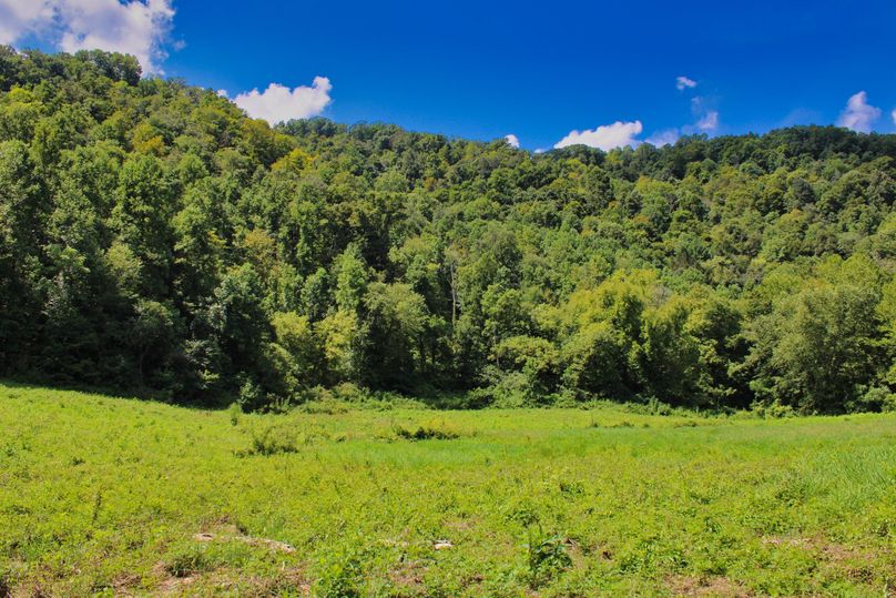 016 awesome view looking SW over the field towards the timber