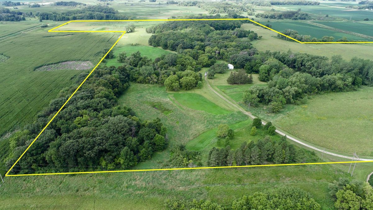 Rare Secluded Hunting Tract With Building Potential Near Owatonna