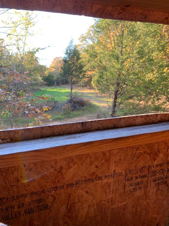 65801460967--886D84F5-1A1C-4282-BC7E-CDFE01DB401B