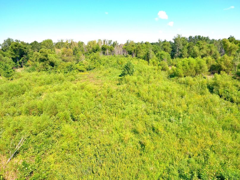DJI_0826