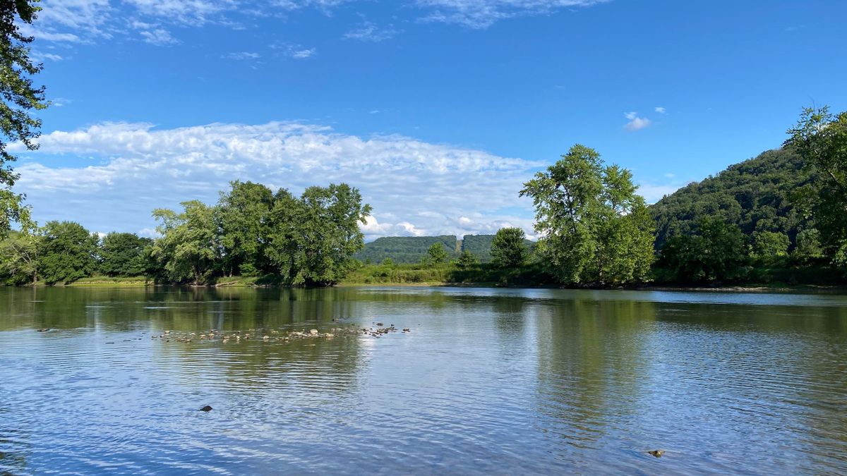 Rare Allegheny River Frontage Tract Near Warren PA Whitetail Properties