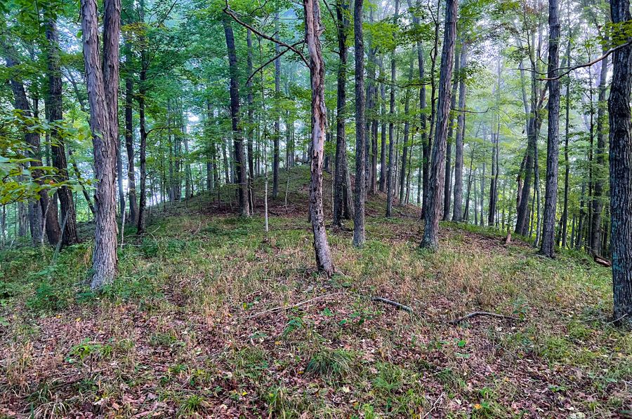 Calhoun, WV 54.45 AC Lane-01