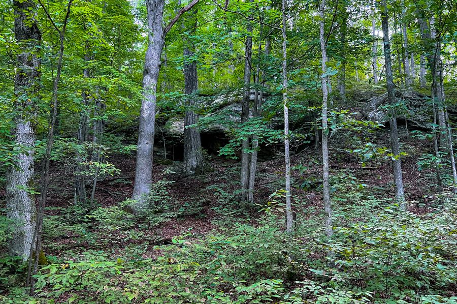 Calhoun, WV 54.45 AC Lane-04