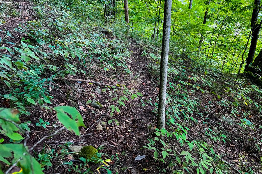 Calhoun, WV 54.45 AC Lane-05