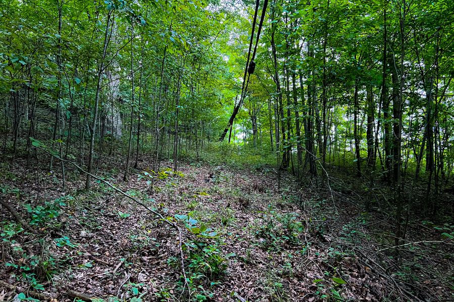 Calhoun, WV 54.45 AC Lane-03