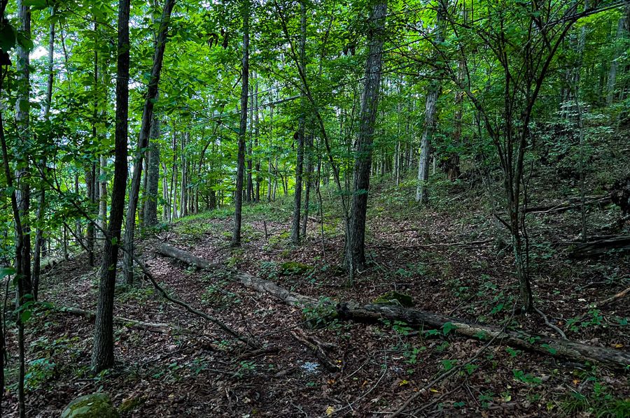 Calhoun, WV 54.45 AC Lane-02