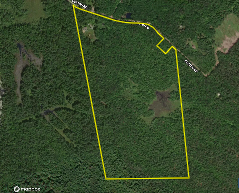 Screen Shot 2022-08-03 at 2.22.31 PM