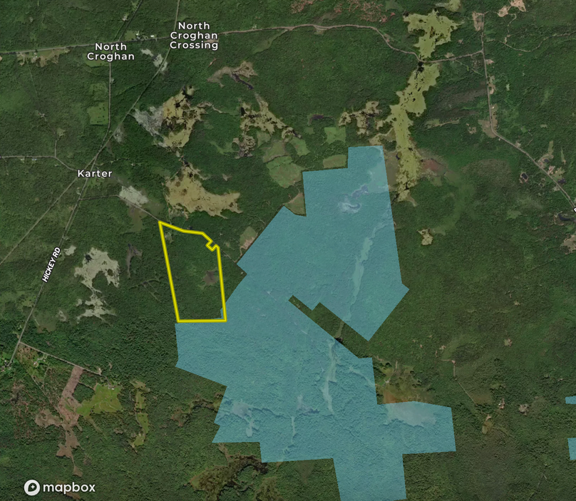 Screen Shot 2022-08-03 at 2.25.35 PM