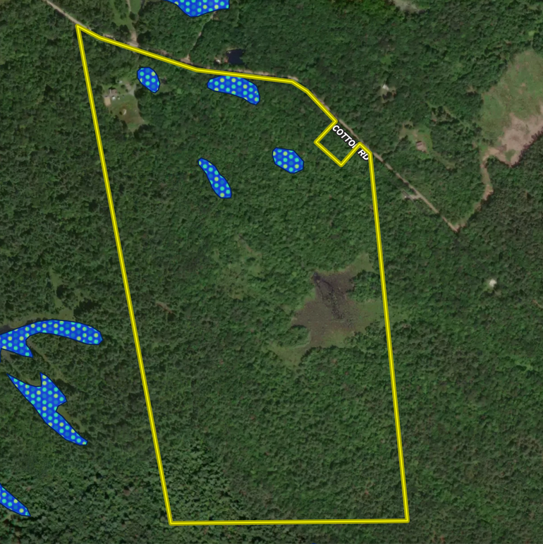 Screen Shot 2022-08-03 at 2.24.47 PM