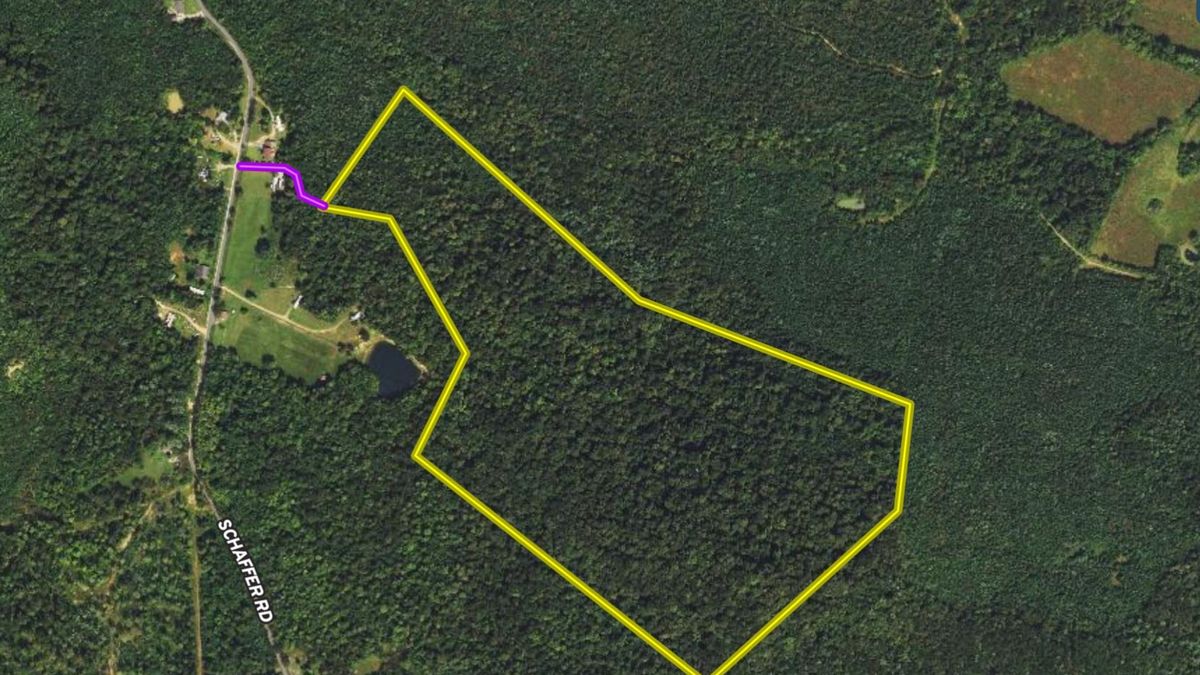 Affordable, All Wooded Hunting Tract In SouthWest Ohio Whitetail