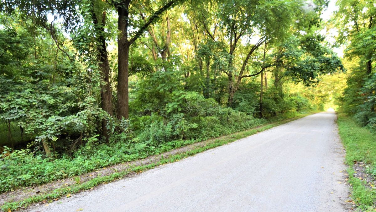 Desirable Wooded Lot With Road Frontage For Building Or Recreation In