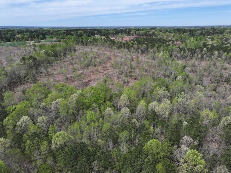 DJI_20260317095338_0595_D