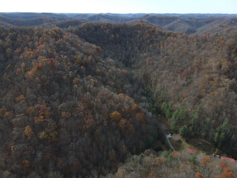 003 Scenic aerial capturing the southwest fork_s mature hardwood canopy