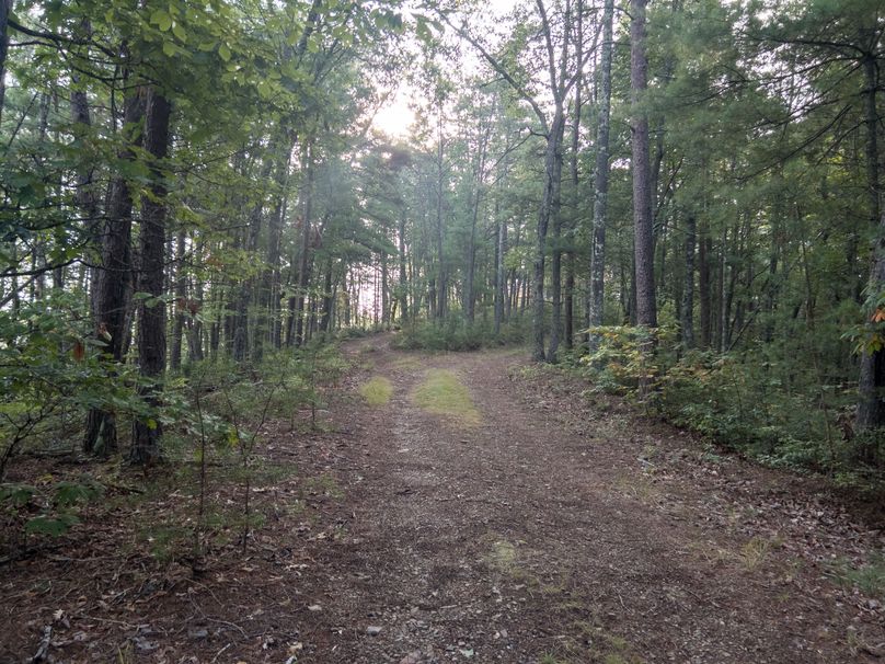 06_30.75_Alleghany_VA