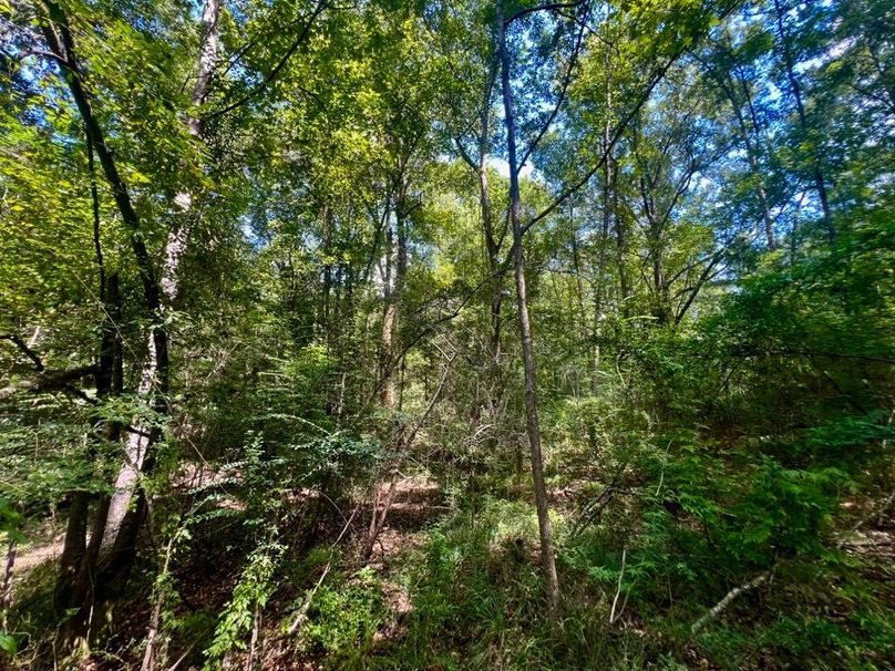 59C6B0DC-AFBF-4606-806A-C61F804A340B_1_201_a