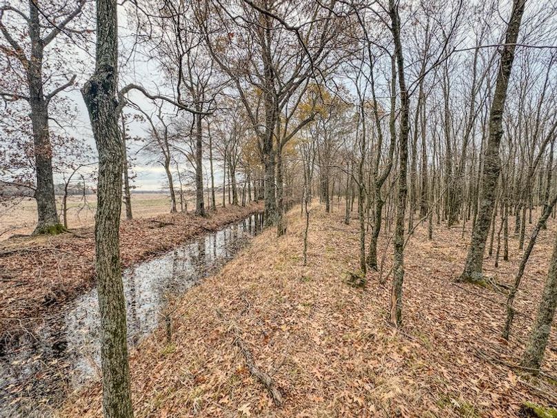 Monroe 80 Driver Dixon (Final Frontier) -12