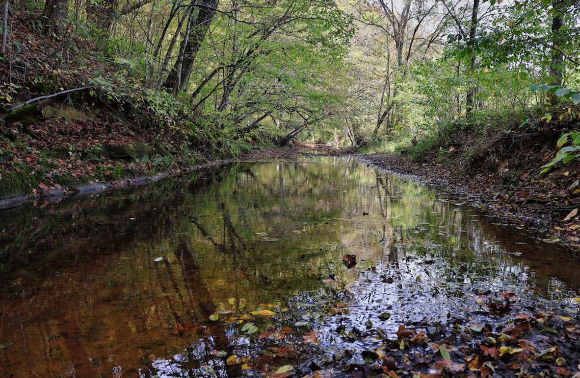 002 gorgeous waters of Lick Creek