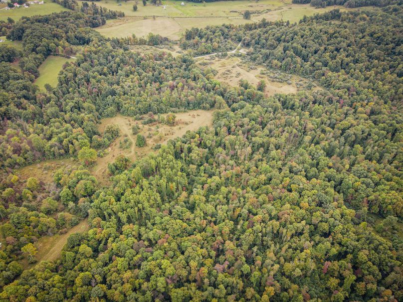 dji_fly_20230923_081100_104_1695471075858_photo