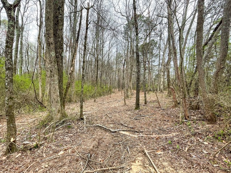 078734CD-3D83-4848-8736-F551C78FB612