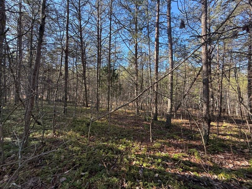 010 nicer building areas along the upper flats