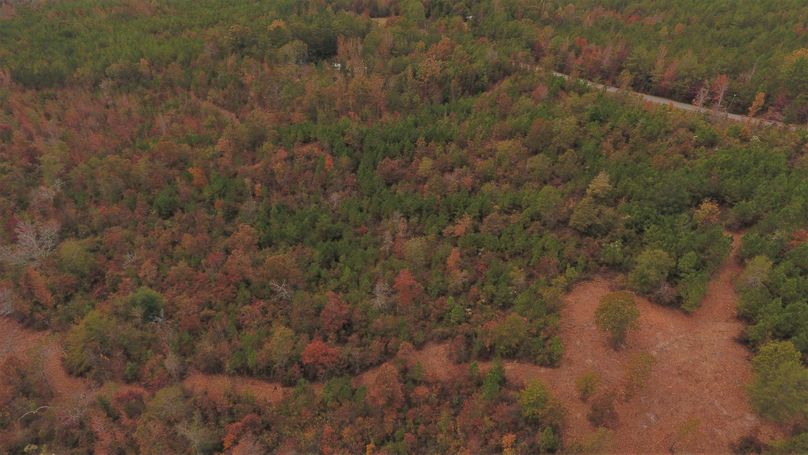 Num 6 Plot and trail