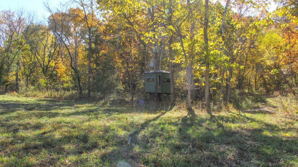 Homesite And Hunting Property Bordering Mark Twain National Forest