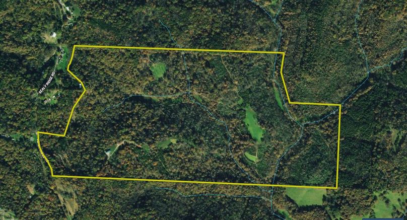 Screen Shot 2022-10-19 at 8.55.49 AM