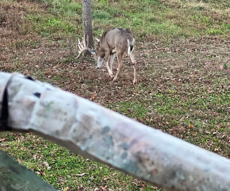 68860212665__D5F81063-217E-4981-9A5B-8520169E2FB2