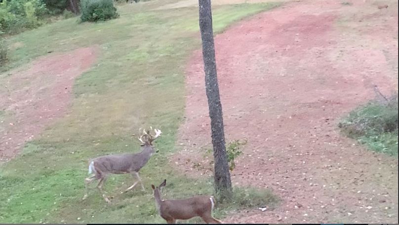 Screen Shot 2022-10-19 at 1.26.21 PM