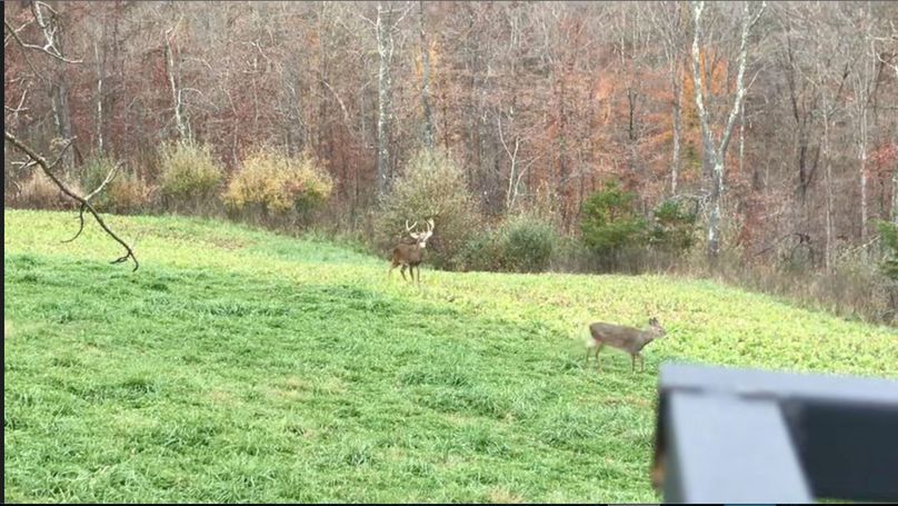 Screen Shot 2022-10-19 at 1.30.53 PM