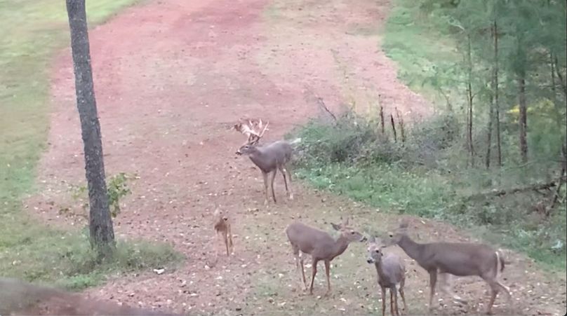 Screen Shot 2022-10-19 at 1.21.34 PM