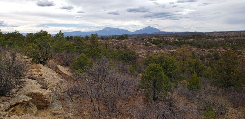 Copy of 20200430_162415