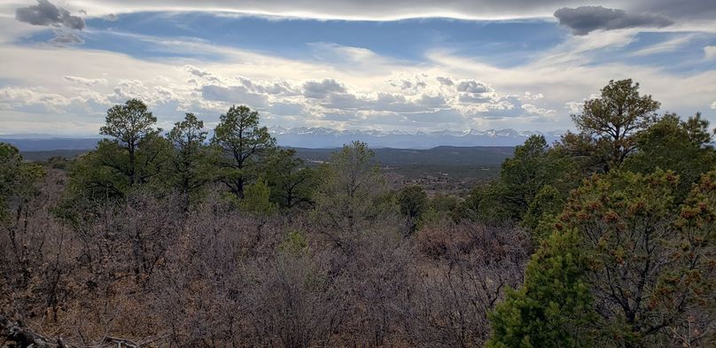 Copy of 20200430_171055