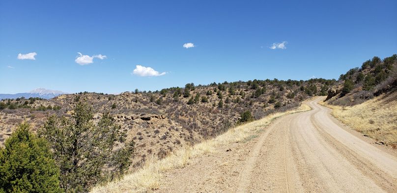 Copy of 20200501_110646