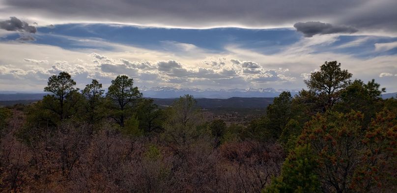 Copy of 20200430_171059