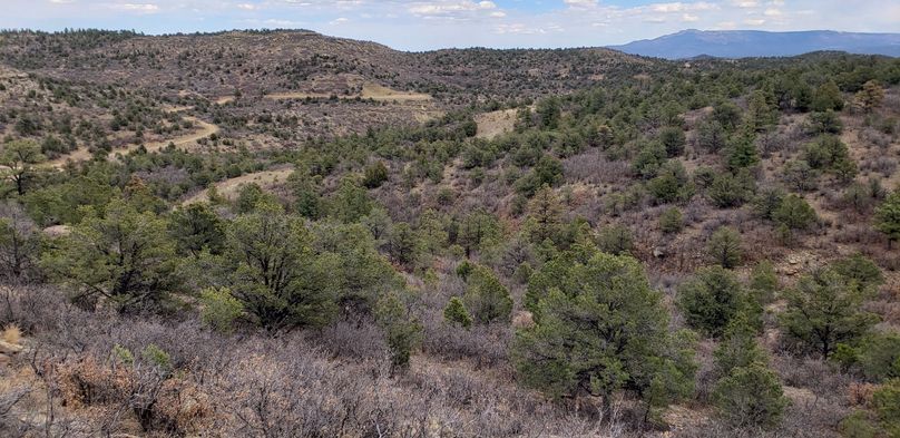 Copy of 20200430_155509