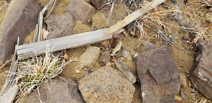 Copy of 20200430_160928