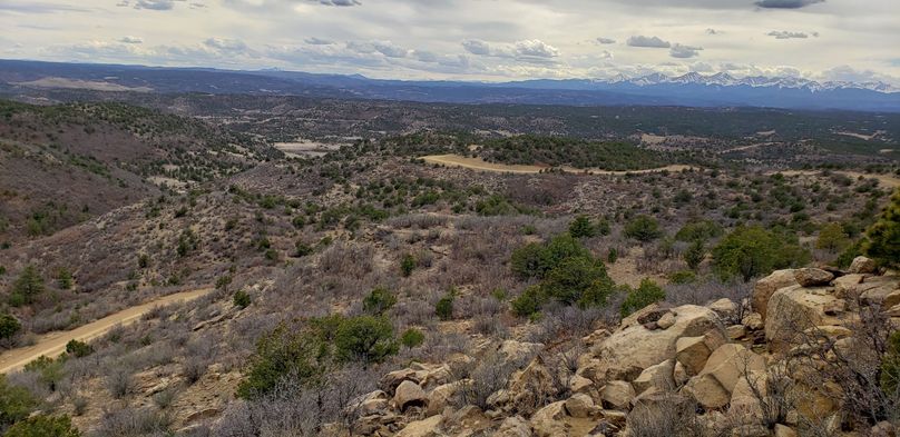 Copy of 20200430_161447