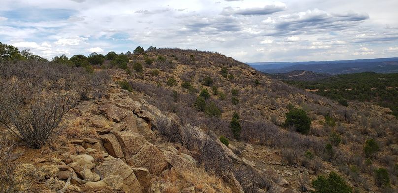 Copy of 20200430_161458