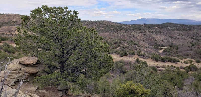 Copy of 20200430_163159