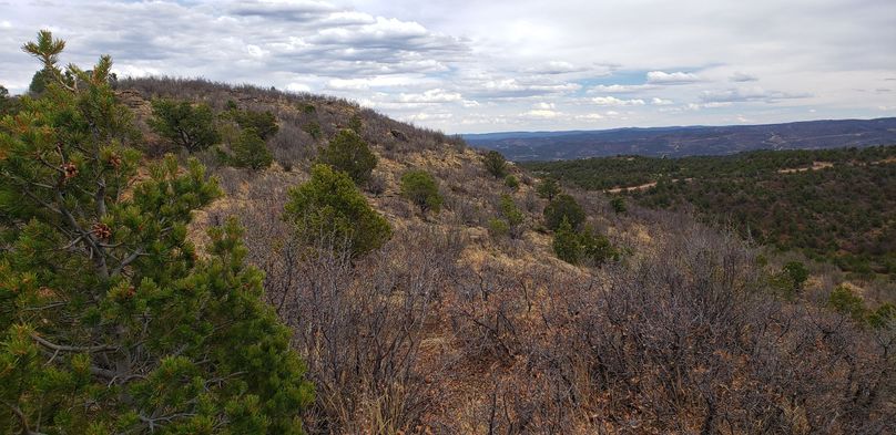 Copy of 20200430_160831