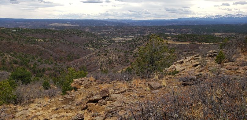 Copy of 20200430_160817