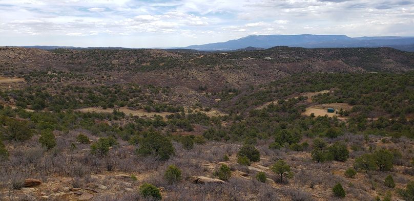 Copy of 20200430_162227