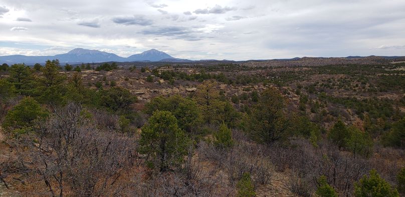 Copy of 20200430_162412