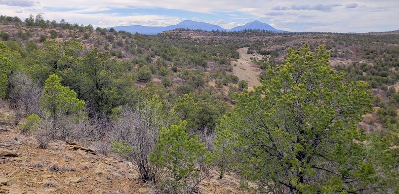 Copy of 20200430_163713