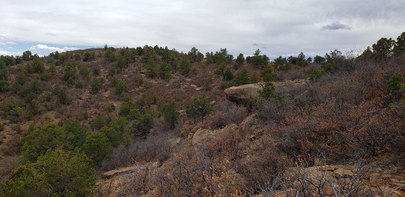 Copy of 20200430_155514