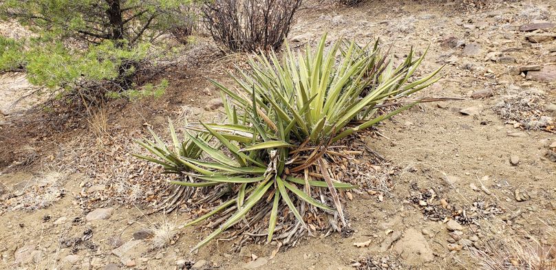 Copy of 20200430_163905