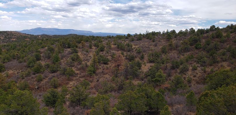 Copy of 20200430_155512